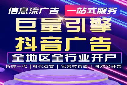 行业专家解析SEM代运营成功案例